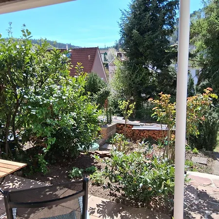 Schoene Aussicht Apartment *